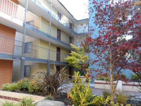 Seattle Apartments- View at Bitter Lake- exterior