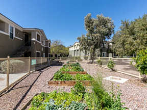 Courtyard Garden at Silver Creek Apartments, Las Vegas, Nevada