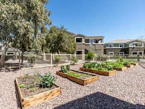 Garden at Silver Creek Apartments, Nevada