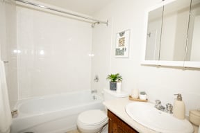 A white bathroom with a toilet, sink, and a plant.