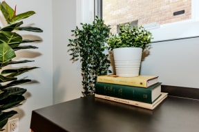 a stack of books sitting on top of a table with a plant