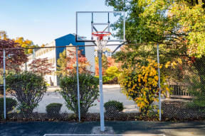 Basketball hoop at Bon Vista