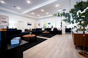 A living room with a dark blue couch and a wooden floor.