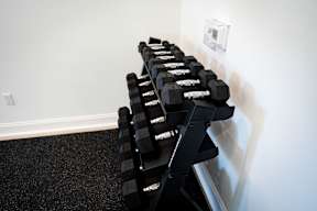 A rack of black dumbbells in a white room.