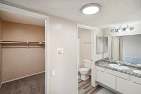 a bathroom with a toilet and a sink and a mirror