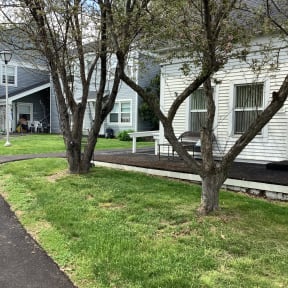 a tree that has fallen in front of a house