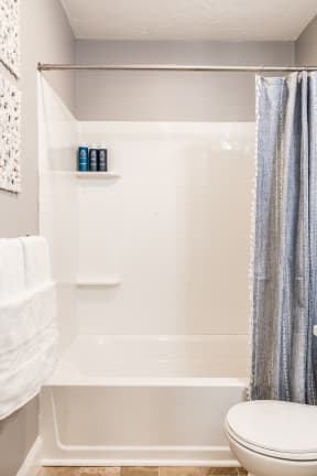 a bathroom with a toilet and a bathtub