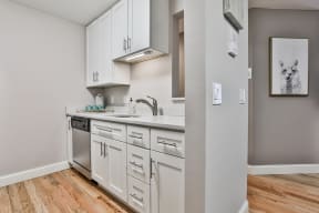 Kitchen Counter