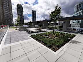 A rooftop garden with a variety of plants and trees.