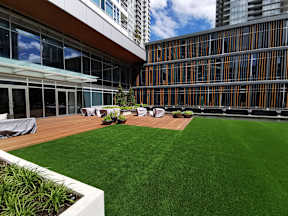 A large grassy area in front of a building with a wooden deck and a white planter box.