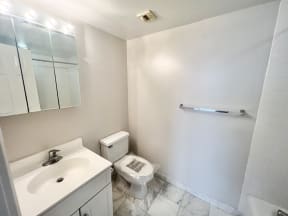 a bathroom with a toilet and a sink and a mirror