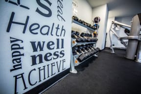 Rittenhouse Row Apartments Resident Fitness Center with free weights