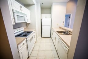 Rittenhouse Row interior kitchen