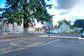 A basketball court is surrounded by a chain link fence and a large tree.