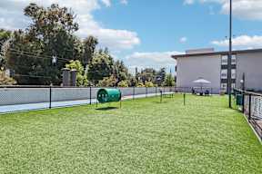 A green cylindrical object sits on a green lawn.