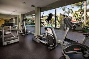 A gym with treadmills and elliptical machines.
