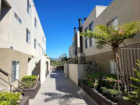 A sunny day in a residential area with apartment buildings on either side of a central walkway.