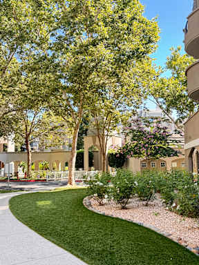 A tree-lined walkway in a park-like setting.