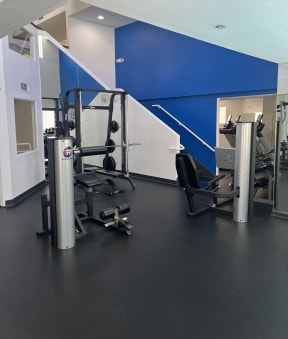a gym with a black floor and a blue and white wall