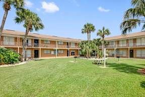 A sunny day at a grassy courtyard with palm trees and apartment buildings.