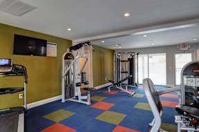 A gym with a variety of equipment including a treadmill, weights, and a bench press.