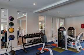 A gym with a variety of equipment including dumbbells, weight machines, and a bench press.