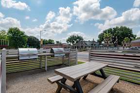 A picnic area with tables and benches is set up in a park.