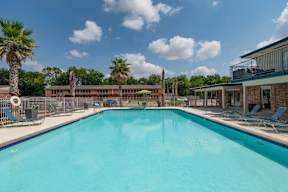 A large swimming pool surrounded by palm trees and lounge chairs.