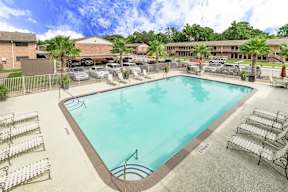 A large swimming pool surrounded by lounge chairs and palm trees.