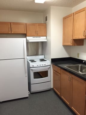 a kitchen with a stove refrigerator and a sink