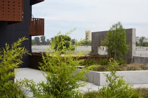a courtyard with plants and a building in the background