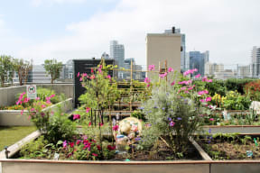 a rooftop garden with a city in the background