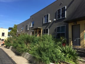 the side of a building with a sidewalk and plants
