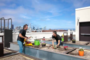 two men working on a rooftop garden with a city in the background