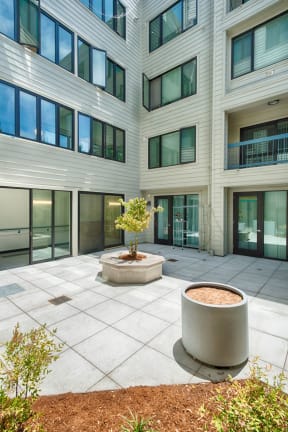 a courtyard with a tree in the middle of a building
