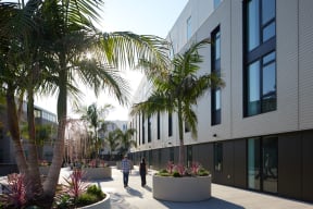 people walking outside of a building with palm trees