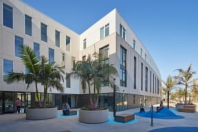 an exterior view of a building with palm trees