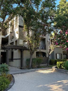 the building where the apartment is located
