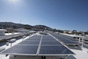 solar panels on the roof of a building