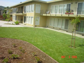 an empty lawn in front of an apartment building