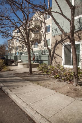 a sidewalk in front of a building with trees