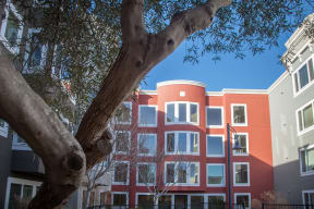 a building with a tree in front of it