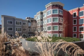 a row of apartment buildings with grass in the foreground