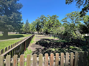A wooden fence runs along the edge of a grassy area.