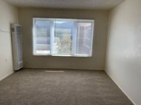 an empty room with a large window and a carpet