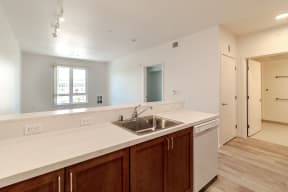the preserve at ballantyne commons apartment living room and kitchen with stainless steel sink