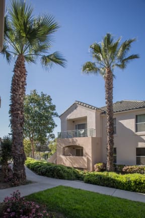 a building with palm trees in front of it