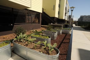 a community garden in front of a building