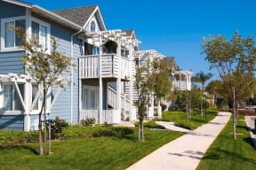 a row of white houses with trees in front of them