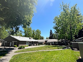A sunny day at a park with a building in the background.
